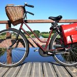 Types of bicycles: how to choose the best bike for you